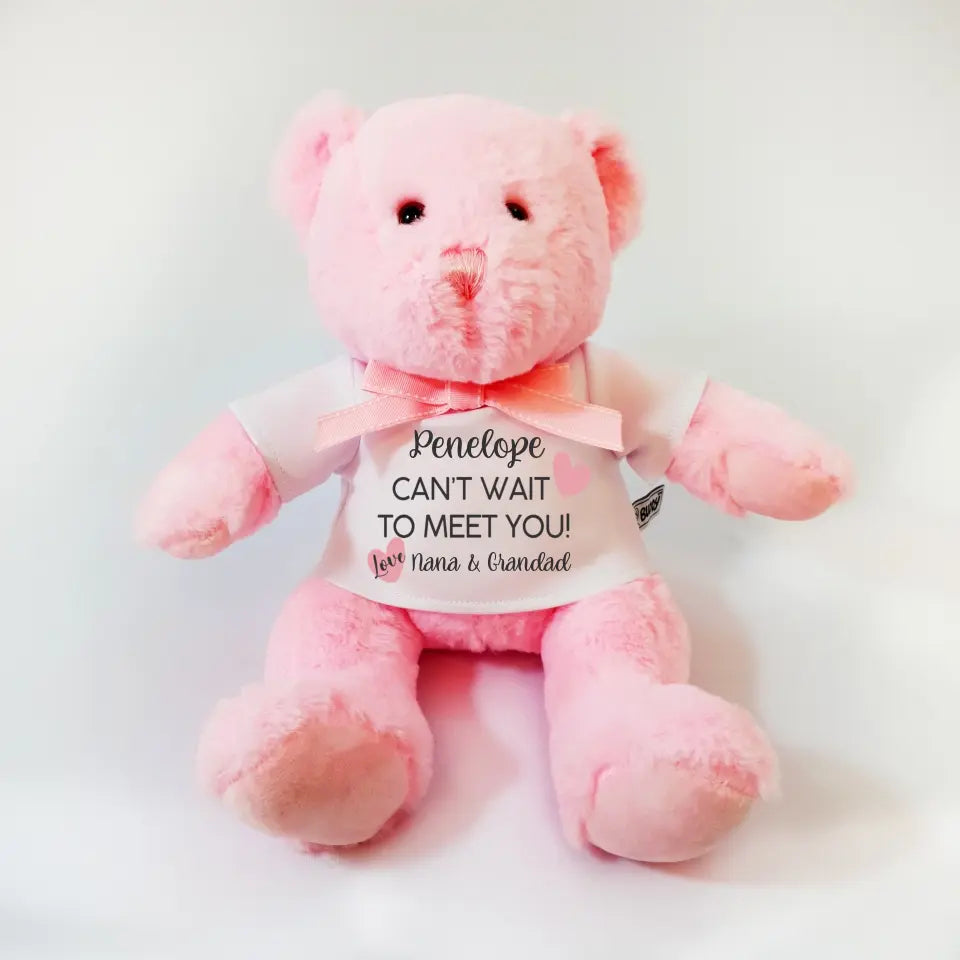 Personalised pink discount teddy bear