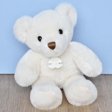 Small white teddy best sale bear