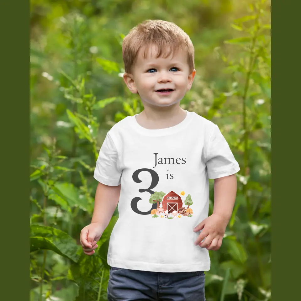 James’ Third Birthday Adventure: His New Favorite T-Shirt and the Day of the Farmyard Surprise.