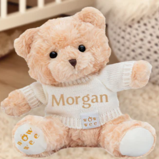 Why Personalised Teddy Bears from WowWee.ie Are the Ultimate Corporate Gift