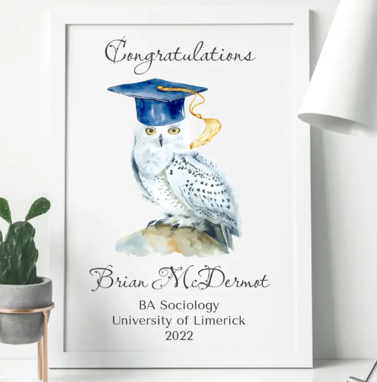 Graduation Gifts for Him at WowWee.ie: Celebrate His Success in Style