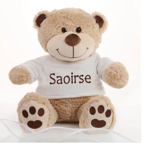 How to Care for Your Teddy Bear from WowWee.ie: Tips to Keep Your Furry Friend Looking New