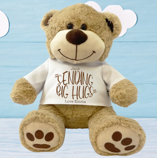 The Therapeutic Power of Teddy Bears | WowWee.ie