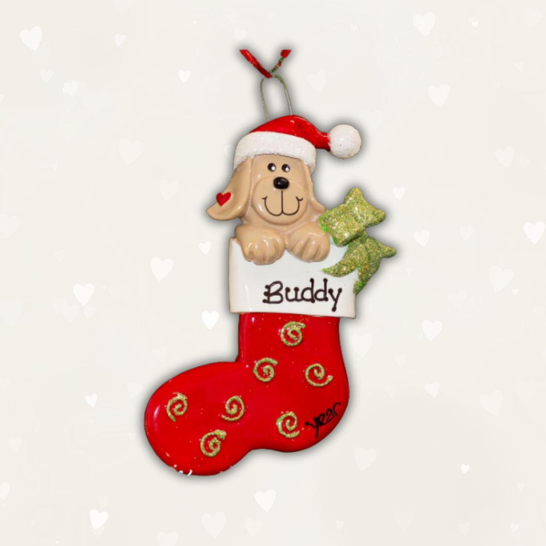 Where can I buy a ornament for my pet ?