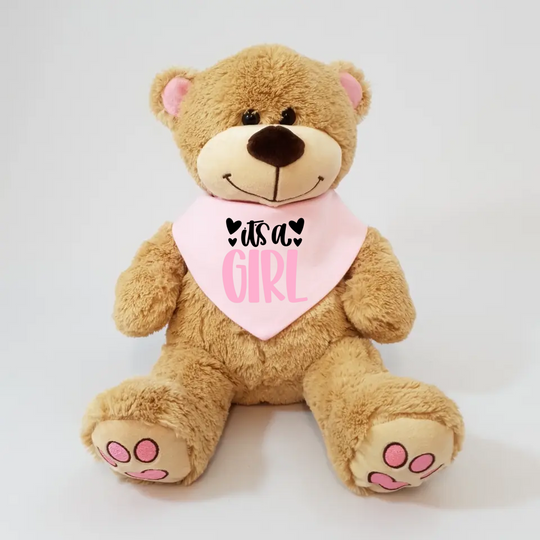 Personalised Baby Bib with Teddy Bear - Gender Reveal - Girl