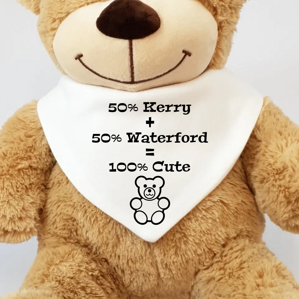 Personalised Baby Bib with Teddy Bear - Half & Half - Customise with Town, County or Country