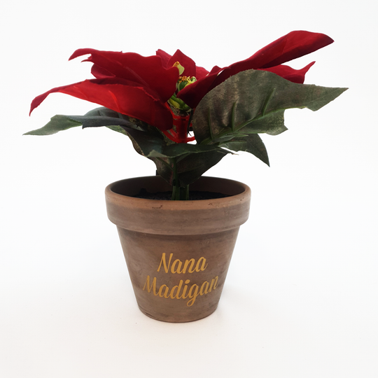 Poinsettia Christmas Flower with Personalised Pot - Small 17cm