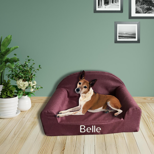 Personalised Pet Bed - Small - Plum Paws Burgundy