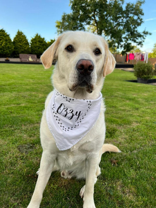 Personalised Dog Bandana - Heart