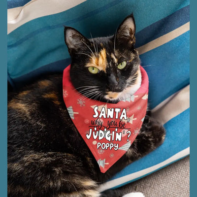 Personalised Christmas Bandana for Cats