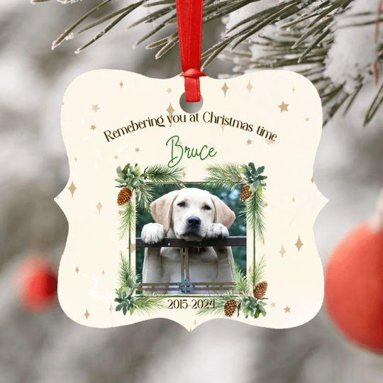 Personalised Memorial Ornament for Pets