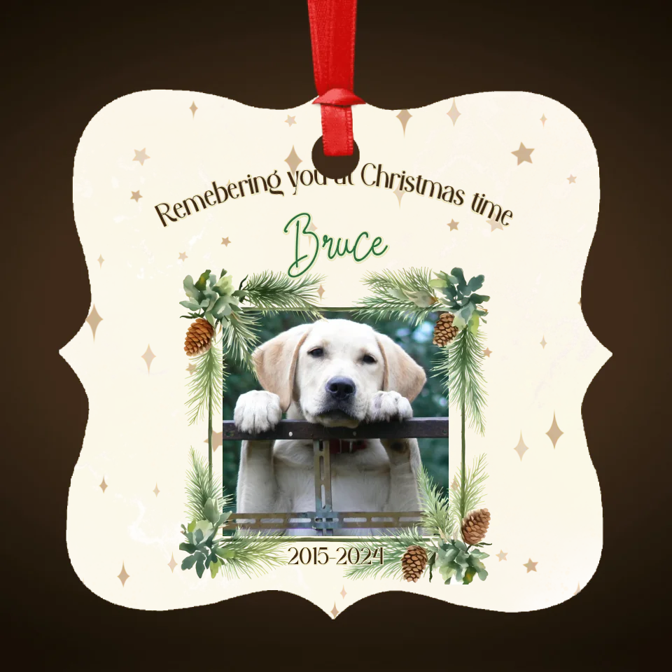 Personalised Memorial Ornament for Pets