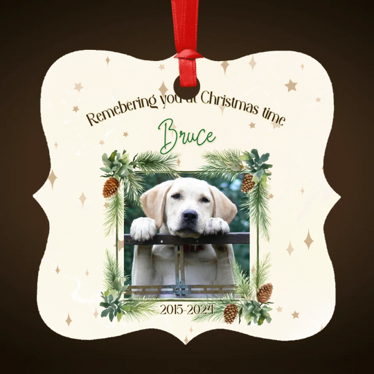 Personalised Memorial Ornament for Pets