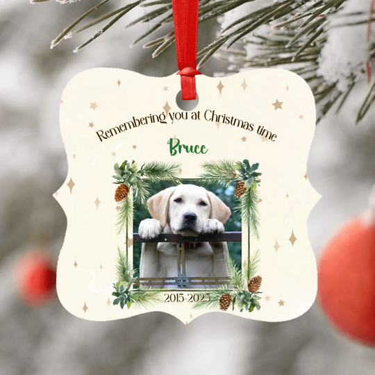 Personalised Memorial Ornament for Pets
