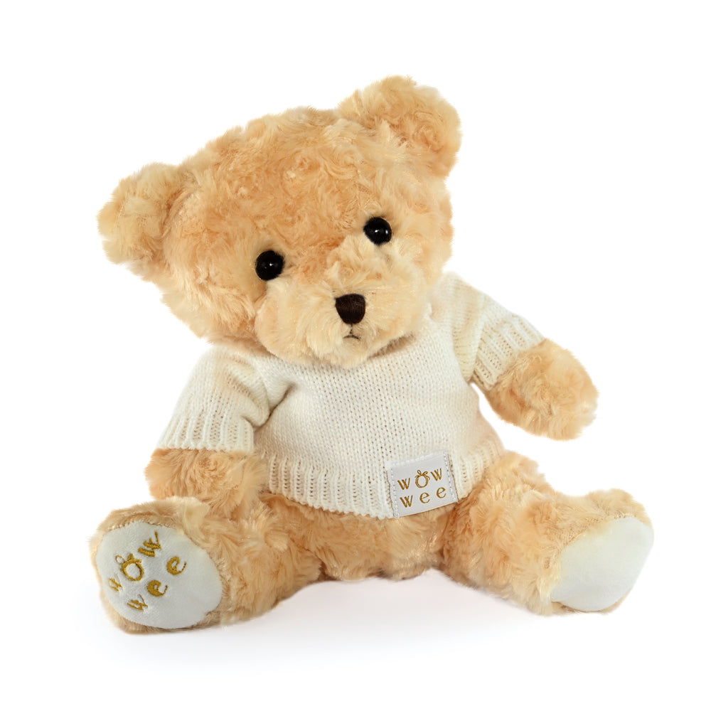Personalised Luxury Baby Blanket and Signature Teddy Bear - IRISH