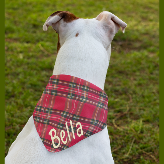 Personalised Red Tartan Bandana for Dogs
