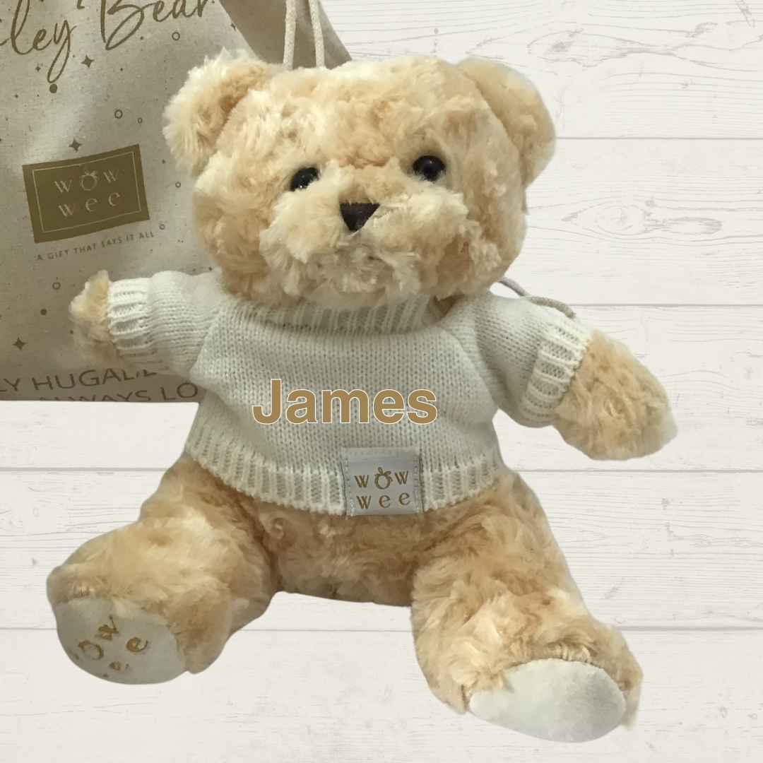 Twin Irish Gift Set... Personalised Bailey Bear, Foxford Blanket and Backpack