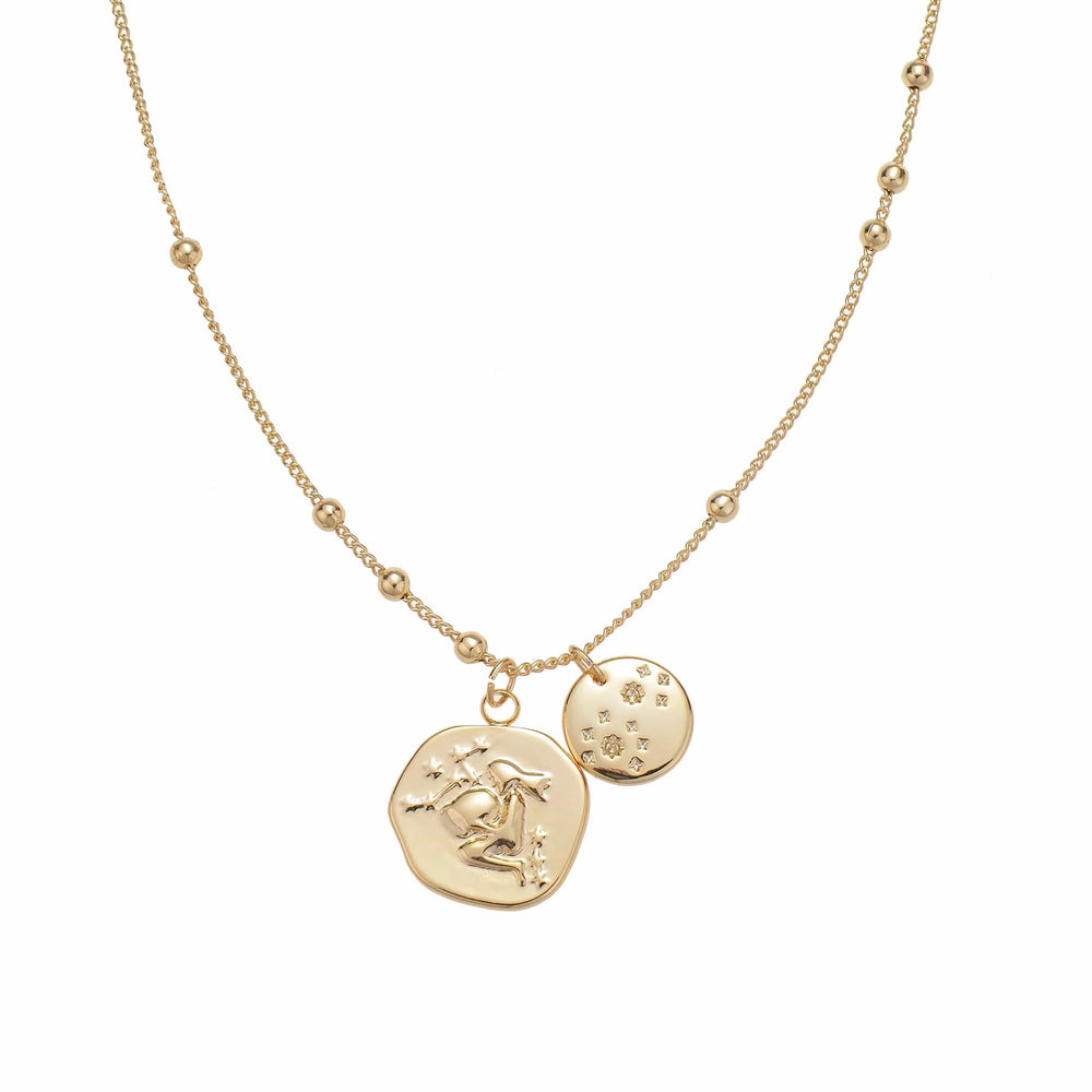 AQUARIUS Zodiac Coin Necklace gift for those born January 20th - February 18th
