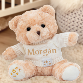 Bailey Bear!  Personalised Luxury Teddy  BEST SELLER