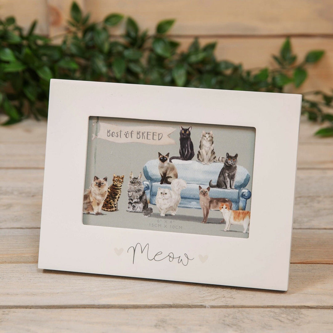 Meow - Personalised Cat Frame