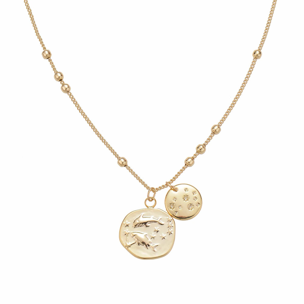 PIECES Zodiac Coin Necklace gift for those born February 19 - March 20