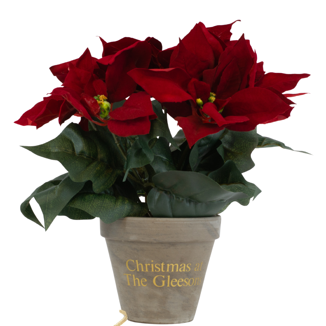 Poinsettia Christmas Flower with Personalised Pot - 30cm