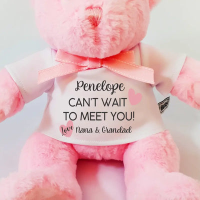 Personalised Pink Teddy Bear - Can't Wait to Meet You - Baby Girl