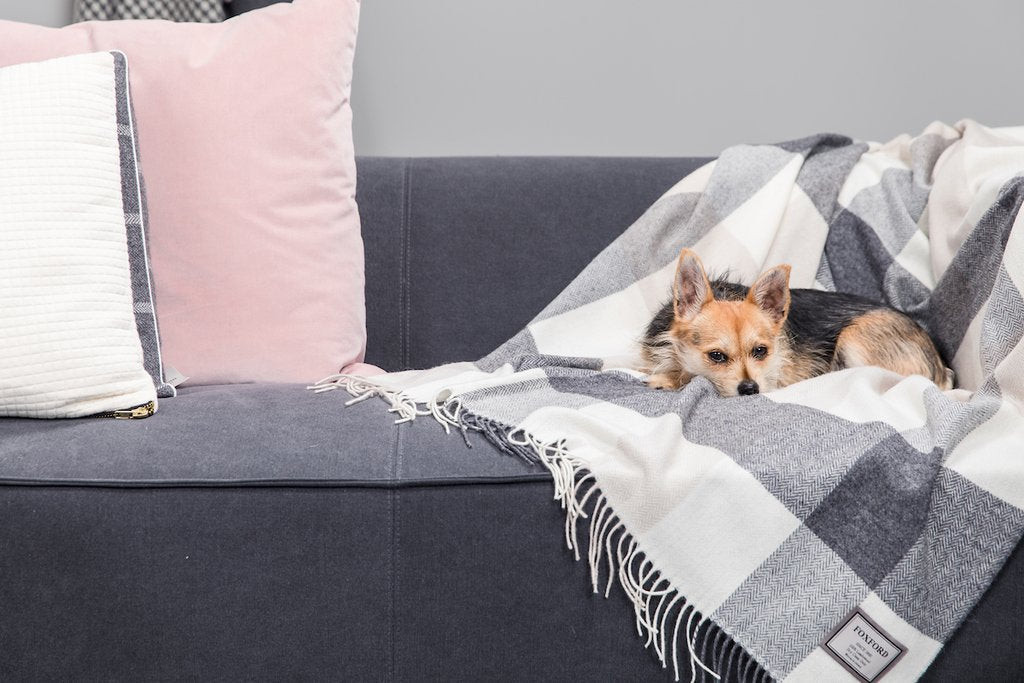 Personalised Throw by Foxford - Classic Check Throw IRISH LUXURY - WowWee.ie Personalised Gifts