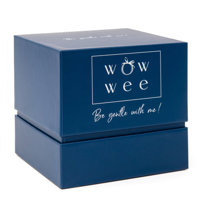 WowWee Mug Gift Box