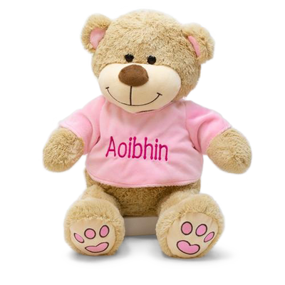 Personalised Teddy Bear - Pink Paws - WowWee.ie Personalised Gifts